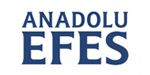 anadoluefes