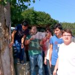 Emphaire Define Avı