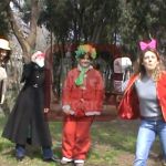 Cargill Videostar
